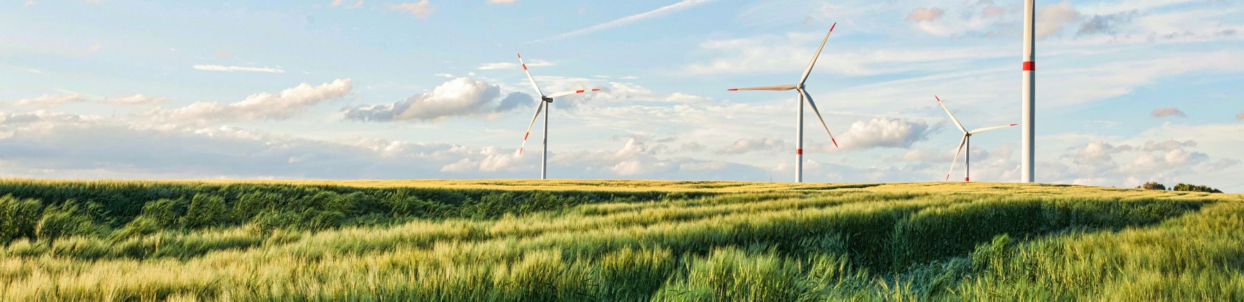 Ayen Elektrik Ticaret A.Ş.