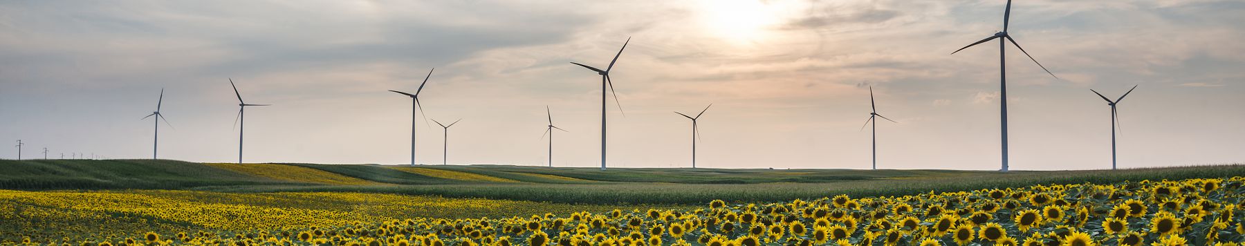 Ayen Energy Trading Sha